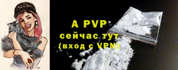 СК Богородицк