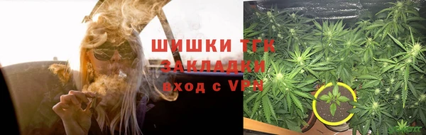 прущие грибы Богданович