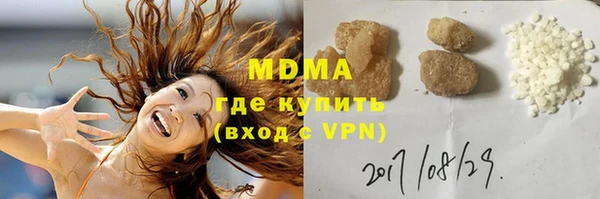 прущие грибы Богданович