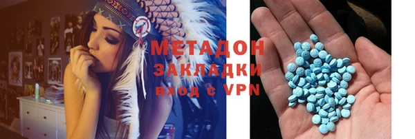 прущие грибы Богданович