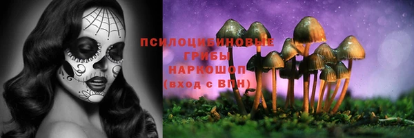 СК Богородицк