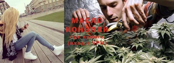 прущие грибы Богданович
