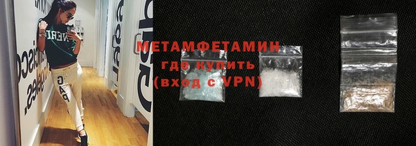 прущие грибы Богданович