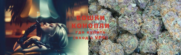 СК Богородицк