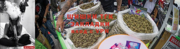 прущие грибы Богданович