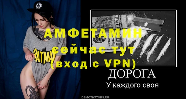 прущие грибы Богданович