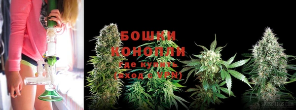 СК Богородицк