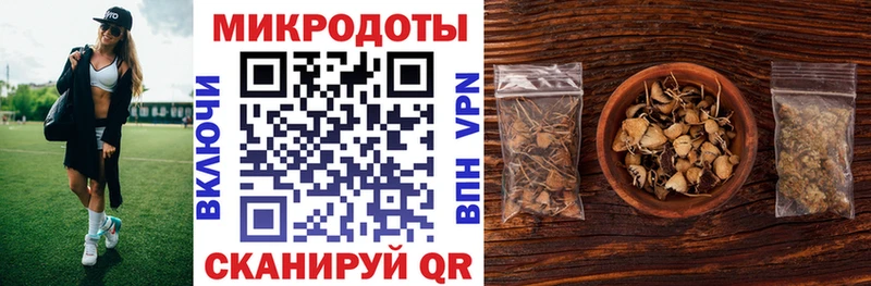 Галлюциногенные грибы Cubensis Белореченск